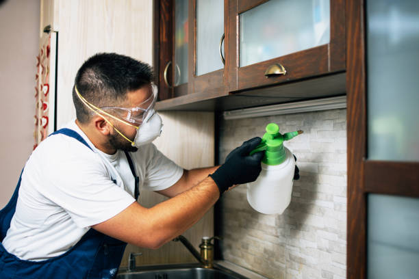 Best Pest Prevention Services  in Edgerton, WI