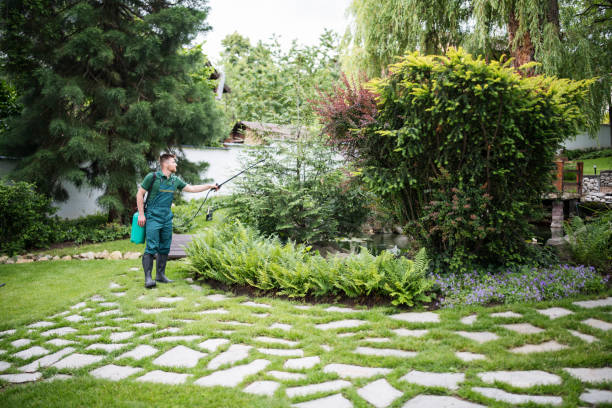 Best Ant Control Services  in Edgerton, WI