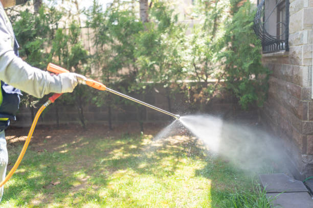 Best Rat Extermination Near Me  in Edgerton, WI
