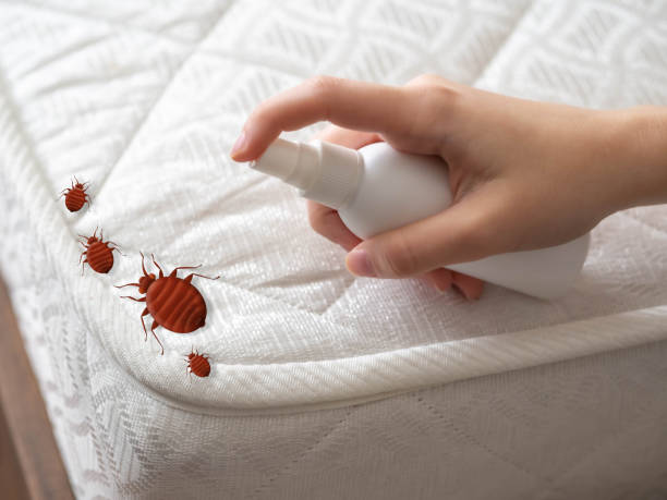 Best Pest Inspection Near Me  in Edgerton, WI