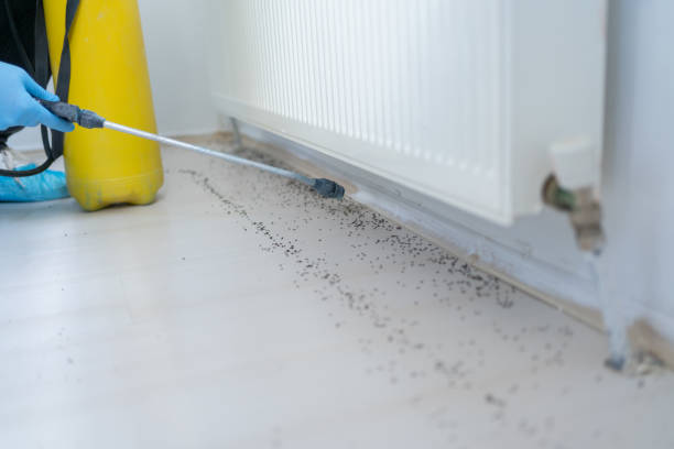 Trusted Edgerton, WI Pest Control Experts
