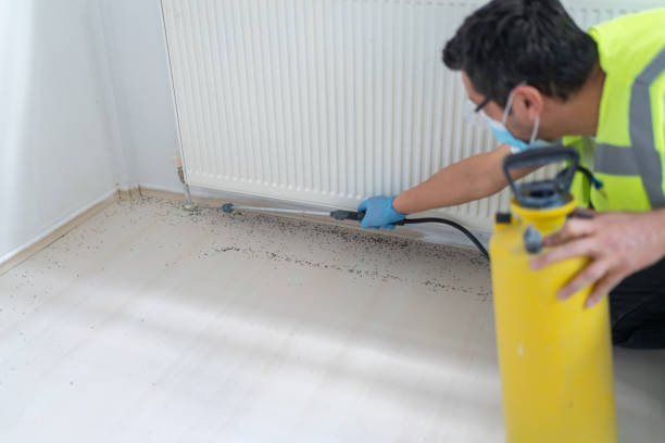 Best Pest Control Cost  in Edgerton, WI
