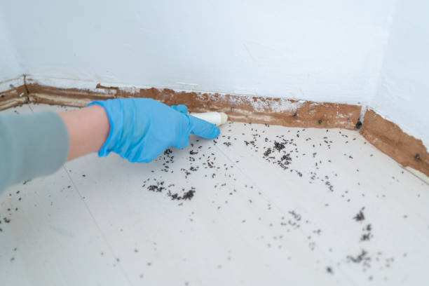 Best Mosquito Control Services  in Edgerton, WI