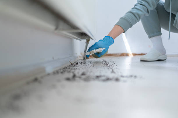 Best Residential Pest Control  in Edgerton, WI