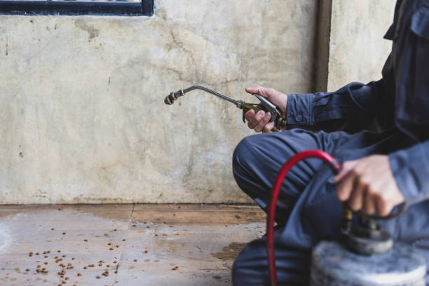 Best Exterminator Services  in Edgerton, WI